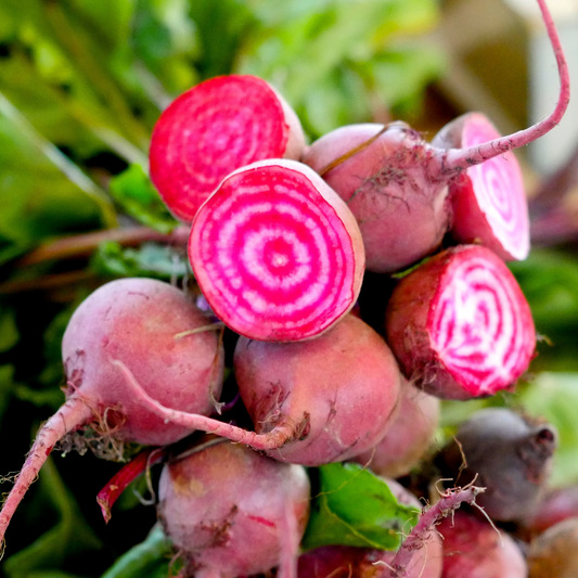 February's Seasonal Produce Guide