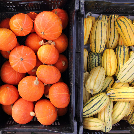 October's Seasonal Produce Guide